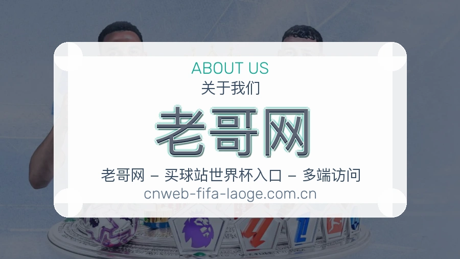 老哥网平台简介